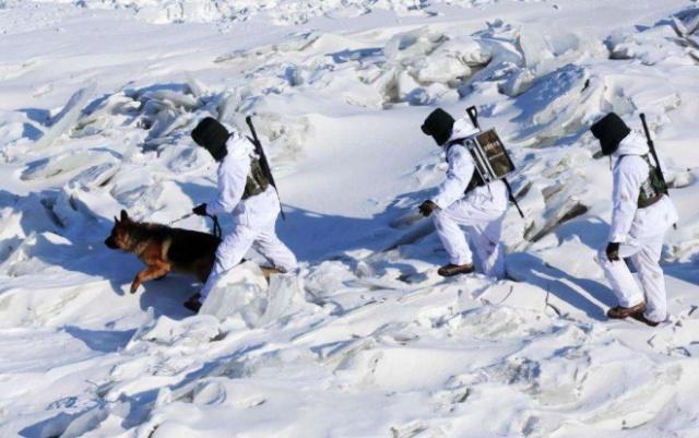 1647999376447702.jpg u=3447529871,2894080726&fm=173&app=49&f=JPEG.jpg